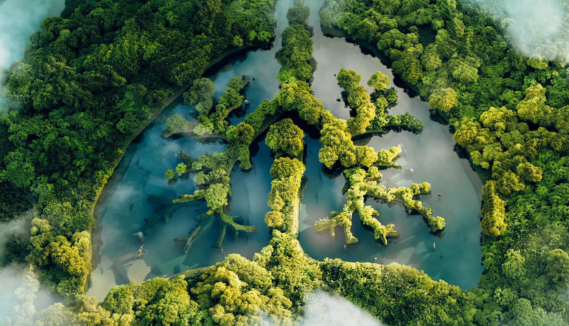 Zdjęcie zostało zrobione z lotu ptaka i przedstawia fragment rzeki płynącej przez las. Wysepki na rzece wraz z rosnącymi na nich drzewami  tworzą kształt przypominający płuca. 