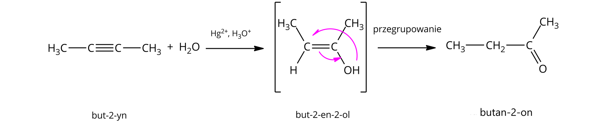 Na ilustracji znajduje się schemat reakcji addycji wody do but-2-ynu. Grupa metylowa wiązanie pojedyncze węgiel wiązanie potrójne węgiel wiązanie pojedyncze grupa metylowa plus cząsteczka wody, strzałka w prawo, nad strzałką zapis: Hg indeks górny plus dwa, H indeks dolny trzy O indeks górny plus, powstaje związek z wiązaniem podwójnym węgiel - węgiel. Do pierwszego atomu węgla dołączone są atom wodoru i grupa metylowa za pomocą wiązań pojedynczych. Do drugiego atomu węgla dołączona jest grupa metylowa i hydroksylowa za pomocą wiązań pojedynczych. Dodatkowo strzałka od protonu grupy OH do atomu węgla podstawionego grupą metylową i wodorem. Strzałka od wiązania podwójnego do wiązania między węglem a grupą OH. Pod wzorem znajduje się podpis: but-2-en-2-ol. Strzałka w prawo, podpis przegrupowanie, powstaje związek o wzorze grupa etylowa wiązanie pojedyncze atom węgla związany z grupą metylową wiązaniem pojedynczym oraz podwójnym z atomem tlenu. Pod wzorem znajduje się podpis: butan-2-on.