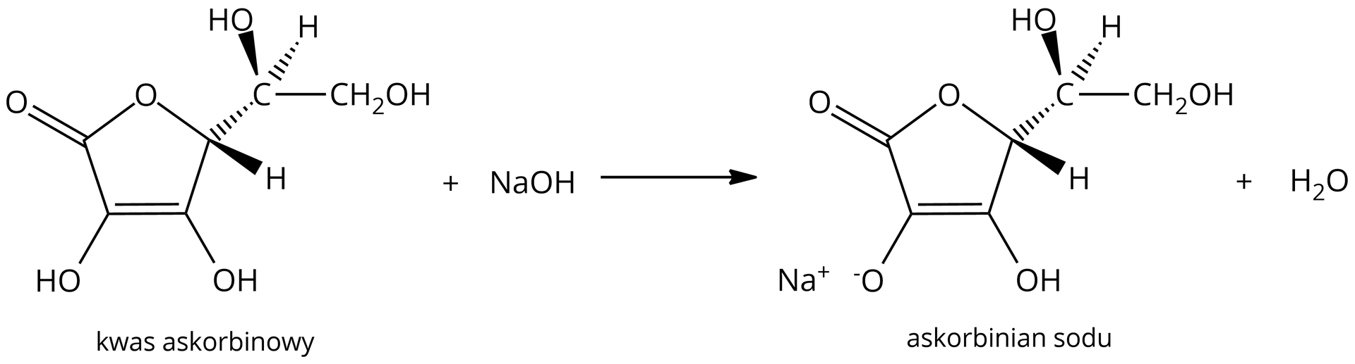 Ilustracja przedstawiająca równanie reakcji cząsteczki kwasu askorbinowego z cząsteczką wodorotlenku sodu. Cząsteczka kwasu askorbinowego zbudowana z grupy CH2 podstawionej grupą hydroksylową OH oraz związaną z grupą CH, która to z kolei podstawiona jest grupą hydroksylową OH oraz połączona z grupą CH należącą do pięcioczłonowego pierścienia zbudowanego z czterech atomów węgla oraz jednego atomu tlenu. Wspomniana grupa CH należąca do pierścienia łączy się z atomem tlenu pierścienia, który to związany jest z atomem węgla połączonym za pomocą wiązania podwójnego z atomem tlenu oraz z atomem węgla podstawionym grupą hydroksylową. Wspomniany atom węgla łączy się za pomocą wiązania podwójnego z atomem węgla również podstawionym grupą hydroksylową oraz zamykającym pierścień poprzez połączenie z węglem grupy CH połączonej z wspomnianą już grupą dihydroksyetylową. Dodać cząsteczka wodorotlenku sodu. Strzałka w prawo, za strzałką cząsteczka askorbinianu sodu o strukturze analogicznej do kwasu askorbinowego, w którym zdeprotonowana jest grupa hydroksylowa sąsiadująca z atomem węgla połączonym za pomocą wiązania podwójnego z atomem tlenu. Atom tlenu zdeprotonowanej grupy obdarzony jest ładunkiem ujemnym, zaś kompensuje do kation sodowy. Dodać cząsteczka wody.