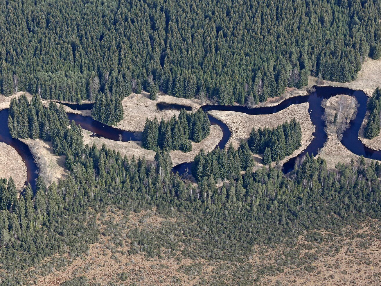Fotografia przedstawiająca meandrującą rzekę Wełtawę. Rzeka ma zakola i tworzy wyspy. Na wyspach rosną drzewa. W górnej części zdjęcia las iglasty. Roślinność w dolnej części przechodzi z lasu w kępy krzaków.