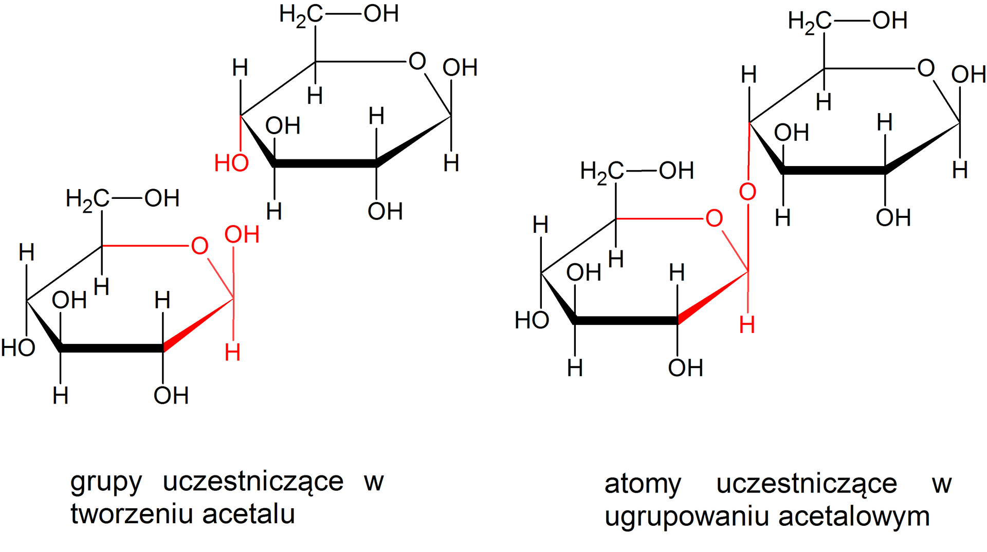 Ilustracja przedstawia wzory pierścieniowe dwóch monocukrów - cząsteczek beta‑D-glukozy oraz powstałego z nich dwucukru - celobiozy. Struktura beta‑D-glukopiranozy zbudowana jest z sześcioczłonowego pierścienia składającego się z pięciu atomów węgla oraz z jednego atomu tlenu. Numeracja atomów w pierścieniu zgodna z ruchem wskazówek zegara. Przy atomach węgla C 2 oraz C 4 znajdują się grupy hydroksylowe OH wychodzą za płaszczyznę, zaś atomy wodoru przed. Przy węglach C 1 oraz C 3 grupy hydroksylowe wychodzą przed płaszczyznę, zaś atom wodoru za. Węgiel C 5 podstawiony jest grupą CH2OH wychodzącą przed płaszczyznę oraz atomem wodoru znajdującym się za płaszczyzną. W cząsteczce zaznaczono na czerwono grupę hydroksylową przy atomie węgla C cztery. Po lewej stronie po skosie poniżej znajduje się analogiczny wzór, drugiej cząsteczki glukozy o analogicznej strukturze, z zaznaczonymi na czerwono atomem węgla C 1 wraz ze związanymi z nim podstawnikami, wiązaniem C 1 C 2, oraz atomem tlenu wbudowanym w pierścień. Zaznaczone grupy uczestniczą w tworzeniu acetalu. Obok znajduje się wzór cząsteczki celobiozy, to jest 4‑O-(beta‑D-glukopiranozylo)-D‑glukopiranozy powstałej z dwóch cząsteczek beta‑D-glukopiranozy połączonych wiązaniem  O‑glikozydowym. Celobioza jest dwucukrem zbudowanym z dwóch sześcioczłonowych pierścieni, to jest z dwóch reszt D‑glukozy połączonych wiązaniem wiązanie beta-1,4-O-glikozydowym. Strukturę stanowi sześcioczłonowy pierścień glukozy, w którym pierwszy lokant stanowi atom węgla C 1 związany z atomem tlenu wbudowanym w tenże pierścień. Węgiel C 5 zamyka pierścień i łączy się ze wspomnianym atomem tlenu oraz węglem C 6, niewbudowanym w pierścień. Od węgla C 1 odchodzi w górę wiązanie łączące go z atomem tlenu, który to łączy się z węglem C 4 drugiego pierścienia D‑glukozy. Od węgli C 2 oraz C 4 odchodzą do dołu grupy hydroksylowe O H, zaś do góry od grupy C 3, grupa hydroksylowa odchodzi również od węgla C sześć. Drugi pierścień stanowi również cząsteczka D‑glukozy, którą tworzy sześcioczłonowy pierścień składający się z atomów węgla C 1, C 2, C 3, C 4 oraz C 5, a także atomu tlenu połączonego z węglami o lokancie pierwszym i piątym. Od węgli C 1 oraz C 3 grupy hydroksylowe odchodzą do góry, od węgla C 2 grupa hydroksylowa odchodzi do dołu. Węgiel C 5 łączy się w górę z grupą CH2OH. Na czerwono zaznaczono atomy uczestniczące w ugrupowaniu acetalowym. Zaznaczono atom tlenu oraz wiązania łączące pierścienie. W pierścieniu, którego atom  C 1 łączy się za pomocą wiązania O‑glikozydowego z drugim pierścieniem, zaznaczono również atom tlenu budujący pierścień wraz z odchodzącymi od niego wiązaniami oraz atom C 1 wraz odchodzącymi od niego wiązaniami i związanym z nim atomem wodoru.