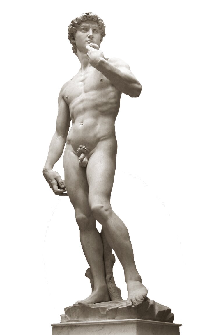 Marmurowa rzeźba przedstawia bardzo młodego mężczyznę, nagiego Dawida. Ma gęste, kręcone włosy. Umięśnione ciało, z dobrze zaznaczonymi szczegółami anatomicznymi (mięśnie, naczynia krwionośne). Mężczyzna lewą ręką dotyka podbródka, prawą trzyma opuszczoną wzdłuż uda. Ciężar ciała opiera na prawej nodze, która jest lekko z tyłu. Lewa zgięta w kolanie dotyka ziemi palcami.