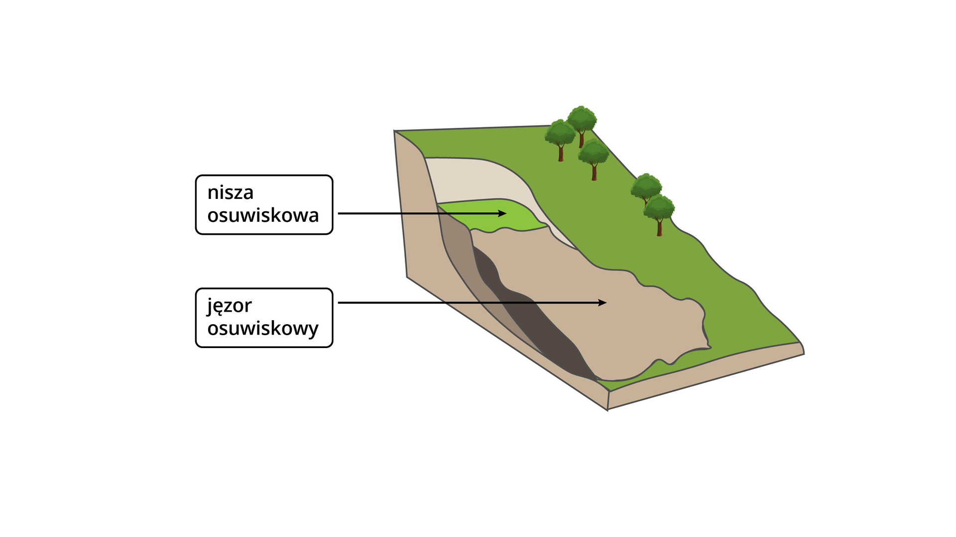 Ilustracja przedstawia schemat osuwiska. Tworzy się nisza osuwiskowa czyli pewna część powierzchni zbocza bez naruszenia swojej struktury obniża się o jakąś odległość poziomo w dół. Przed nią natomiast tworzy się jęzor osuwiskowy. Jest to nagromadzona ziemia i muł.
