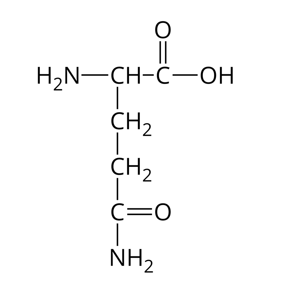 Wzór półstrukturalny glutaminy. Do grupy H indeks dolny, dwa, koniec indeksu dolnego, N z prawej strony przyłączona jest grupa C H. Od niej odchodzą dwa wiązania pojedyncze. Pierwsze skierowane jest w prawo do atomu węgla. Od niego odchodzą dwa wiązania: podwójne w górę, prowadzące do atomu tlenu i pojedyncze w prawo do grupy O H. Drugie wiązanie odchodzące od grupy C H skierowane jest w dół i łączy się z grupą C H indeks dolny, dwa, koniec indeksu dolnego, od której odchodzi pojedyncze wiązanie w dół do grupy C H indeks dolny, dwa, koniec indeksu dolnego, a od niej kolejne pojedyncze wiązanie w dół do atomu węgla. Od niego poprowadzone są dwa wiązania: podwójne w prawo do atomu tlenu i pojedyncze w dół do grupy N H indeks dolny, dwa, koniec indeksu dolnego.