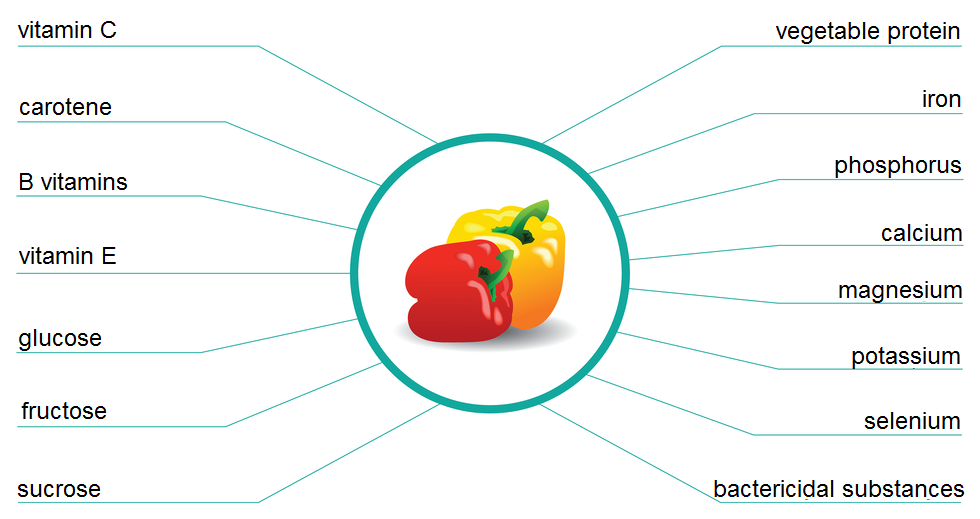 Fotografia w centrum przedstawia dwie papryki: żółtą i czerwoną w niebieskim kółku. Od niego kreski do informacji o składnikach papryki: 1 vitamin C 2. carotene 3.B vitamins 4. Vitamin E 5. glucose 6. fructose  7. sucrose 8. vegetable protein 9. iron 10. phosphorus 11. calcium 12. magnesium 13. potassium 14. selenium 15. bactericidal substances.