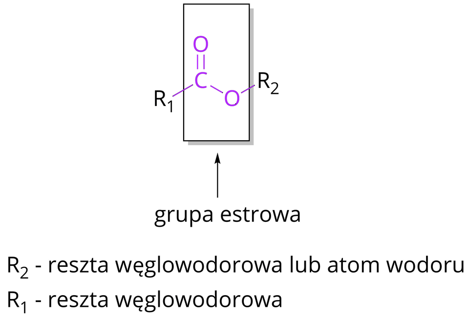 Na ilustracji ukazano wzór ogólny estru. Od grupy R indeks dolny, jeden, koniec indeksu dolnego odchodzi wiązanie pojedyncze do atomu węgla C. Od niego odchodzą dwa wiązania: podwójne do atomu tlenu O i pojedyncze do atomu tlenu O. Od niego odchodzi wiązanie pojedyncze do grupy R indeks dolny, dwa, koniec indeksu dolnego. Atom węgla i dwa atomy tlenu zapisano kolorem fioletowym, oznaczono czarną ramką i podpisano jako grupa estrowa. Pod spodem znajduje się legenda: R indeks dolny, dwa, koniec indeksu dolnego to reszta węglowodorowa lub atom wodoru, a R indeks dolny, jeden, koniec indeksu dolnego to reszta węglowodorowa.