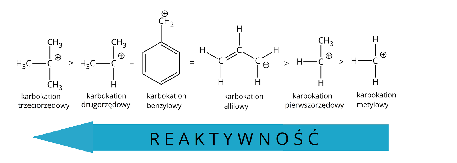 Ilustracja przedstawiająca szereg trwałości karbokationów. Na dole znajduje się strzałka skierowana w lewo z napisem "reaktywność". Powyżej strzałki znajduje się szereg, od najbardziej trwałych karbokationów po lewej stronie do najmniej trwałych po prawej. Od lewej, karbokation trzeciorzędowy zbudowany z atomu węgla obdarzonego ładunkiem dodatnim i podstawionego trzema grupami metylowymi CH3. Dalej, mniej trwały karbokation drugorzędowy składający się z atomu węgla obdarzonego ładunkiem dodatnim i związanego z dwiema grupami metylowymi CH3 oraz atomem wodoru. Następnie o podobnej trwałości karbokation benzylowy zbudowany z sześcioczłonowego pierścienia aromatycznego, w którym jeden z atomów węgla podstawiony jest grupą CH2, w której atom węgla obdarzony jest ładunkiem dodatnim. Kolejnym karbokationem o podobnej trwałości do dwóch poprzednich jest karbokation allilowy zbudowany z grupy CH2 połączonej za pomocą wiązania podwójnego z grupą CH związaną za pomocą wiązania pojedynczego z grupą CH2, w której atom węgla obdarzony jest ładunkiem dodatnim. Dalej mniejszą trwałością odznacza się karbokation pierwszorzędowy składający się z atomu węgla obdarzonego ładunkiem dodatnim, który związany jest z  dwoma atomami wodoru oraz grupą metylową CH3. Najmniejszą trwałością odznacza się karbokation metylowy zbudowany z atomu węgla obdarzonego ładunkiem dodatnim, zbudowany jest on z atomu węgla obdarzonego ładunkiem dodatnim, który to połączony jest z trzema atomami wodoru.