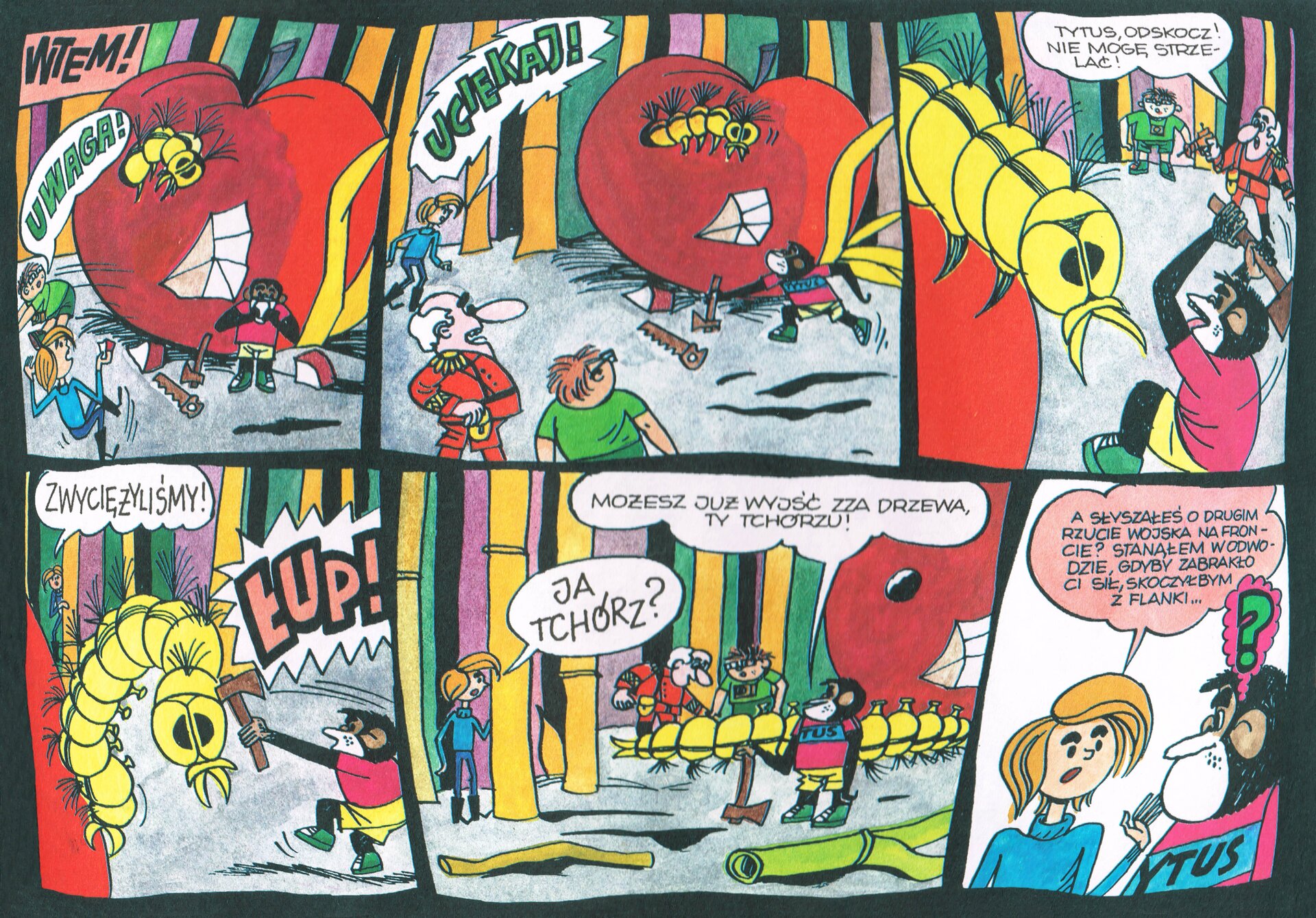 Następna strona komiksu „Tytus, Romek i A'Tomek”, przedstawiająca dalszą część przygody z jabłkiem. Podobnie jak poprzednia, zawiera sześć ilustracji różnej wielkości na czarnym tle, po trzy w dwóch rzędach.
Pierwszy obrazek, o kształcie zbliżonym do pionowego prostokąta, w dużej mierze wypełnia na tle lasu łodyg czerwone jabłko, z prawej strony przycięte krawędzią kadru. Z owocu wyłania się groźna, żółta gąsienica ze szczypcami i kępkami szczeciny na odwłoku. U góry po lewej czarny napis: „WTEM”. Pochylony, odwrócony tyłem do jabłka A’Tomek krzyczy: w pionowym dymku nad nim: „UWAGA”! Poniżej, w narożniku, Romek tyłem odskakujący od jabłka, przed którym stoi zwrócony ku czytelnikowi Tytus i trzyma się obiema dłońmi za twarz. Na lewo od niego na ziemi porzucona piłka i siekiera, której trzonek opiera się o jabłko.
Drugi obrazek, zbliżony kształtem do kwadratu, ukazuje szerszy kadr. Jabłko widać na nim w całości z prawej strony w górze kompozycji. Tytus z prawej strony, skradając się na ugiętych nogach, wyciągniętą ręką sięga po siekierę opartą o jabłko, z którego gąsienica wysunęła się jeszcze bardziej. Stojący z lewej strony w oddaleniu od owocu Romek krzyczy do Tytusa: w postrzępionym ostro dymku nad nim duży napis „UCIEKAJ!”. Poniżej w narożniku na pierwszym planie Krasnal i na prawo od niego A’Tomek, przyglądają się wydarzeniom z bezpiecznej odległości.
Trzeci obrazek, ostatni w pierwszym rzędzie, węższy, przedstawia nad fragmentem jabłka z widoczną na pierwszym planie gąsienicę w zbliżeniu wyłaniającą się zza górnego narożnika obrazka. Jej szczęki w kształcie szczypiec skierowane są na Tytusa, który widoczny w prawym narożniku u dołu usiłuje trafić w robaka siekierą uniesioną oburącz nad głową. W oddali, częściowo przysłonięty siekierą, Krasnoludek usiłuje strzelać do gąsienicy trzymaną w prawej dłoni bronią, na lewo ponad nim dymek z napisem: „TYTUS ODSKOCZ! NIE MOGĘ STRZELAĆ!”. Pod dymkiem przyglądający się walce A’Tomek.
Czwarty obrazek, pierwszy w dolnym rzędzie, wąski, przedstawia z prawej u dołu Tytusa, uderzającego obuchem, czyli niezaostrzoną stroną siekiery w głowę gąsienicy, która w całości wyszła z jabłka. Wygięta w łuk ku Tytusowi, trzyma się tylną partią swoich nóg widocznego w dolnym lewym narożniku fragmentu owocu. Na prawo od niej, nad Tytusem, duży zębaty dymek z różowym, otoczonym czarnym konturem napisem „ŁUP!". Z lewej strony u góry, w oddali za rozgrywającą się na pierwszym planie walką, ledwie widoczna nieduża postać Romka, wychylającego się z ukrycia zza pnia trawy. Nad nim w dymku napis: „ZWYCIĘŻYLIŚMY”.
Piąty obrazek, poziomy, szerszy od poprzedniego, ukazuje zbiorową scenę. U dołu za leżącymi fragmentami roślin stoi Tytus zwróconym w lewo, który oparł prawą dłoń na ustawionej pionowo trzonkiem ku górze siekierze. Nad Tytusem pod górną krawędzią obrazka poziomy dymek z napisem „MOŻESZ JUŻ WYJŚĆ ZZA DREWA TY TCHÓRZU”. Są one skierowane do stojącego za drzewem przy krawędzi obrazka Romka. Na prawo od niego dymek z pytaniem: „JA TCHÓRZ?” Na środku w oddali niewielkie postaci A’Tomka i na lewo od niego Krasnala, przyglądających się leżącej w poprzek obrazka gąsienicy, której ogon kończy się po prawej stronie na tle jabłka. Otwór, jaki pozostał w nim po robaku, przypomina oko, a wycięty siekierą fragment skórki usta, nadając jabłku wygląd upiornej twarzy.
Ostatni szósty, wąski obrazek, przedstawiający u dołu widocznych od piersi w górę Romka z lewej, zwracającego się do Tytusa po prawej. W różowym dymku nad Romkiem napis: „A SŁYSZAŁEŚ O DRUGIM RZUCIE WOJSKA NA FRONCIE? STANĄŁEM W ODWODZIE, GDYBY ZABRAKŁO CI SIŁ, SKOCZYŁBYM Z FLANKI…”. Nad Tytusem niewielki, ciemnoróżowy dymek z zielonym znakiem zapytania.
