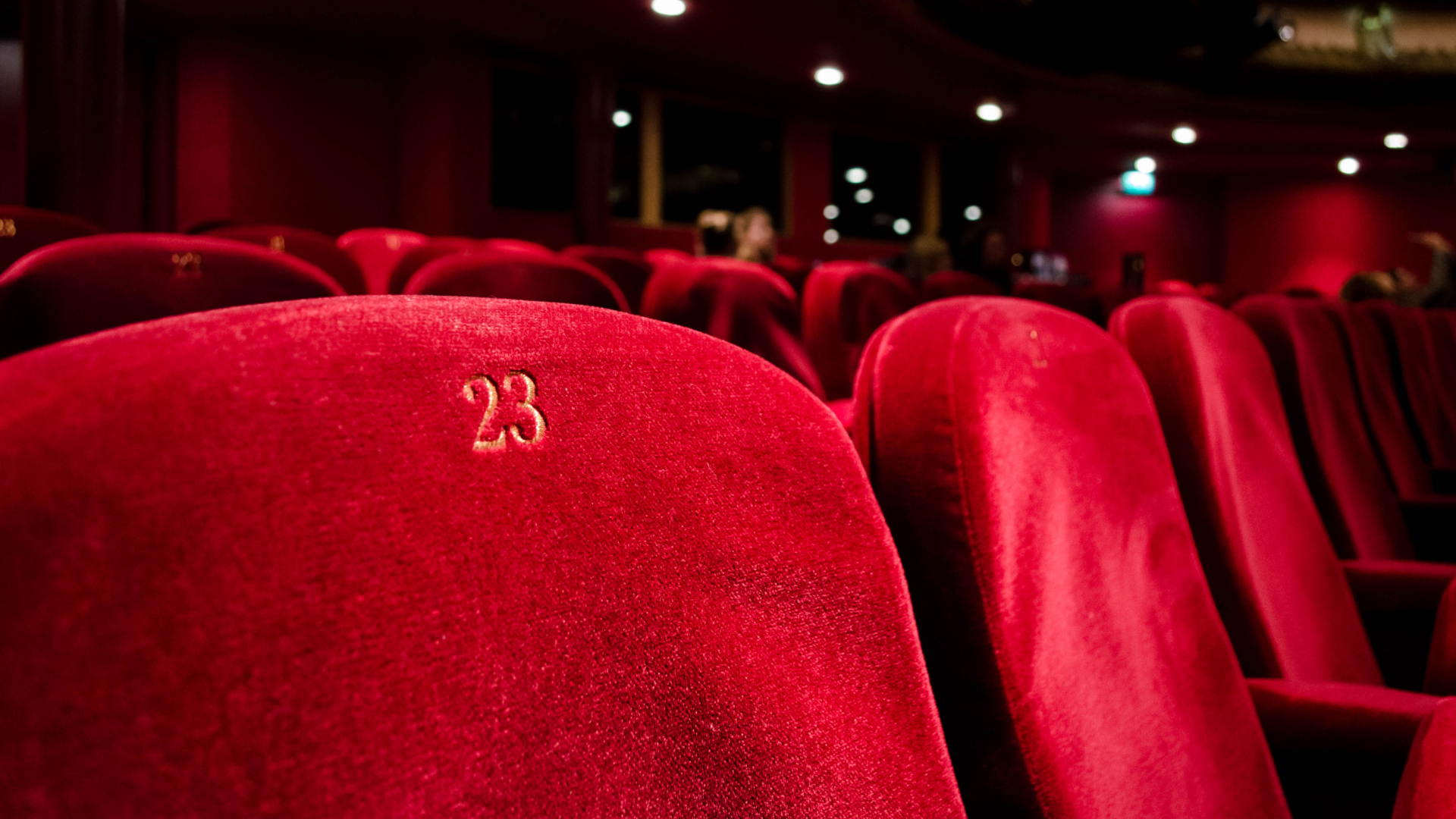 Zdjęcie przedstawia duże zbliżenie na fotele kinowe lub teatralne. Na pierwszym planie widoczny jest fotel z numerem dwadzieścia trzy.