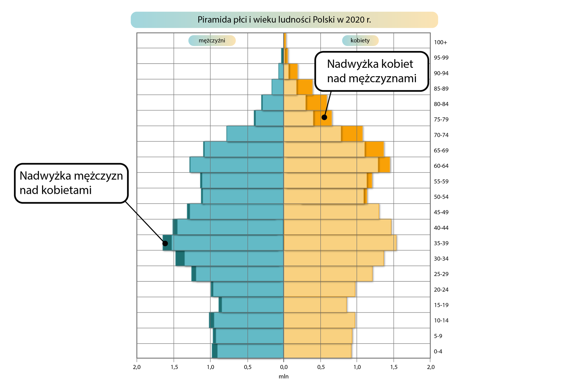 Piramida płci i wieku jest rozrysowana na siatce. Dolna pozioma oś oznacza liczbę ludności w procentach, od 0 w centralnym punkcie rośnie co 1% w lewą i prawą stronę do 7 procent. Oś pionowa oznaczona po prawej stronie określa grupy wiekowe: 0‑4, 5‑9, 10‑14, 15‑19, 20‑24, 25‑29, 30‑34, 35‑39, 40‑44, 45‑49, 50‑54, 55‑59, 60‑64, 65‑69, 70‑74, 75‑79, 80‑84, 85‑89, 90‑94, 95‑99, 100+. Piramida ma dwa kolory. Po lewej stronie wartości oznaczone są kolorem niebieskim dane mężczyzn, a po prawej – żółtym dane dla kobiet. Kolorem ciemnożółtym i ciemnoniebieskim oznaczone są różnice w danych dotyczących płci. Dolną część piramidy (oznaczającą najmłodsze grupy wiekowe) określa się jako podstawę, a górną (oznaczającą grupy najstarsze) - wierzchołek. W Polsce w 2020 roku najwięcej było osób w wieku produkcyjnym od 20 do 64 roku życia z niewielką przewagą mężczyzn. W wieku poprodukcyjnym widoczna jest znacząca przewaga kobiet (różnica nawet 1%). W przedziale wiekowym 35‑39 na ciemnoniebieskim polu znajduje się czarna kropka połączona kreską z napisem w czarnej ramce „Nadwyżka mężczyzn nad kobietami”. W przedziale wiekowym 80‑84 na ciemnożółtym polu znajduje się czarna kropka połączona kreską z napisem w czarnej ramce „Nadwyżka kobiet nad mężczyznami”.