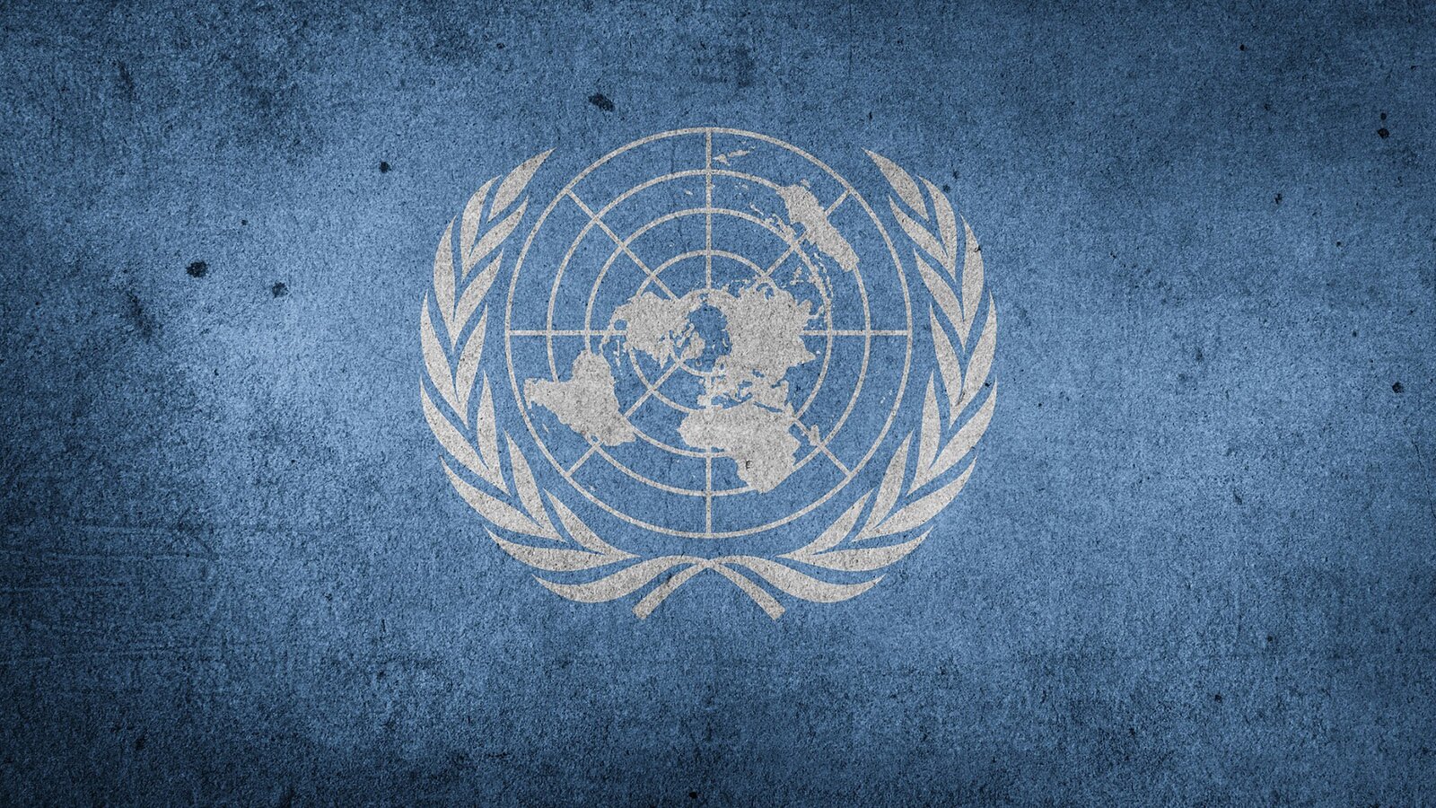 Zdjęcie przedstawia emblemat Organizacji Narodów Zjednoczonych. Na niebieskim tle widoczna jest mapa świata z poszczególnymi kontynentami, oglądana z czterdziestego równoleżnika szerokości południowej, na setnym stopniu szerokości zachodniej od Greenwich. Mapa otoczona jest dwiema gałązkami oliwnymi.