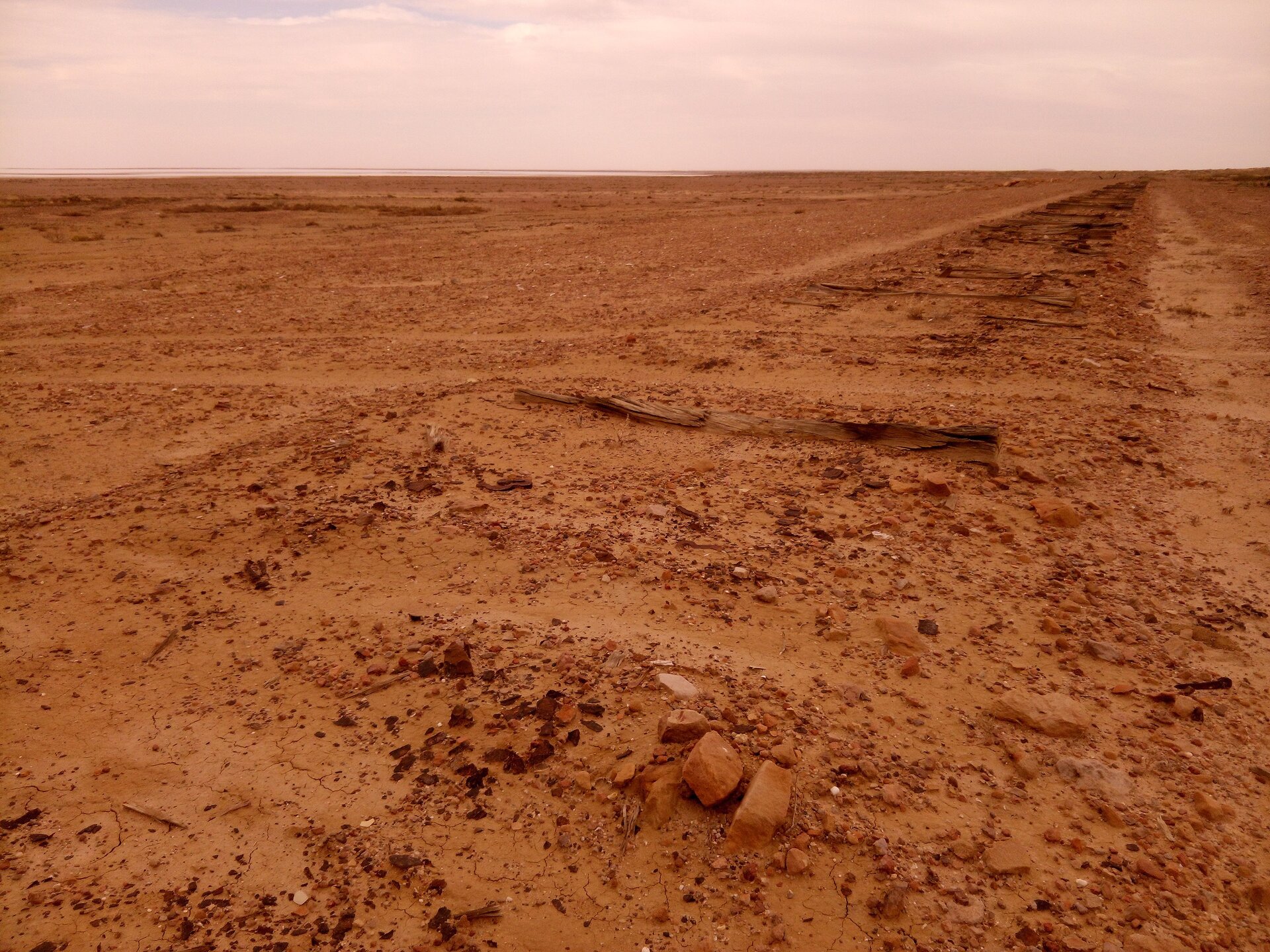 Zdjęcie przedstawia Pustynię Simpsona w Australi. Po horyzont biegnie szeroki teren, który składa się z czerwonawego piasku i kamieni.