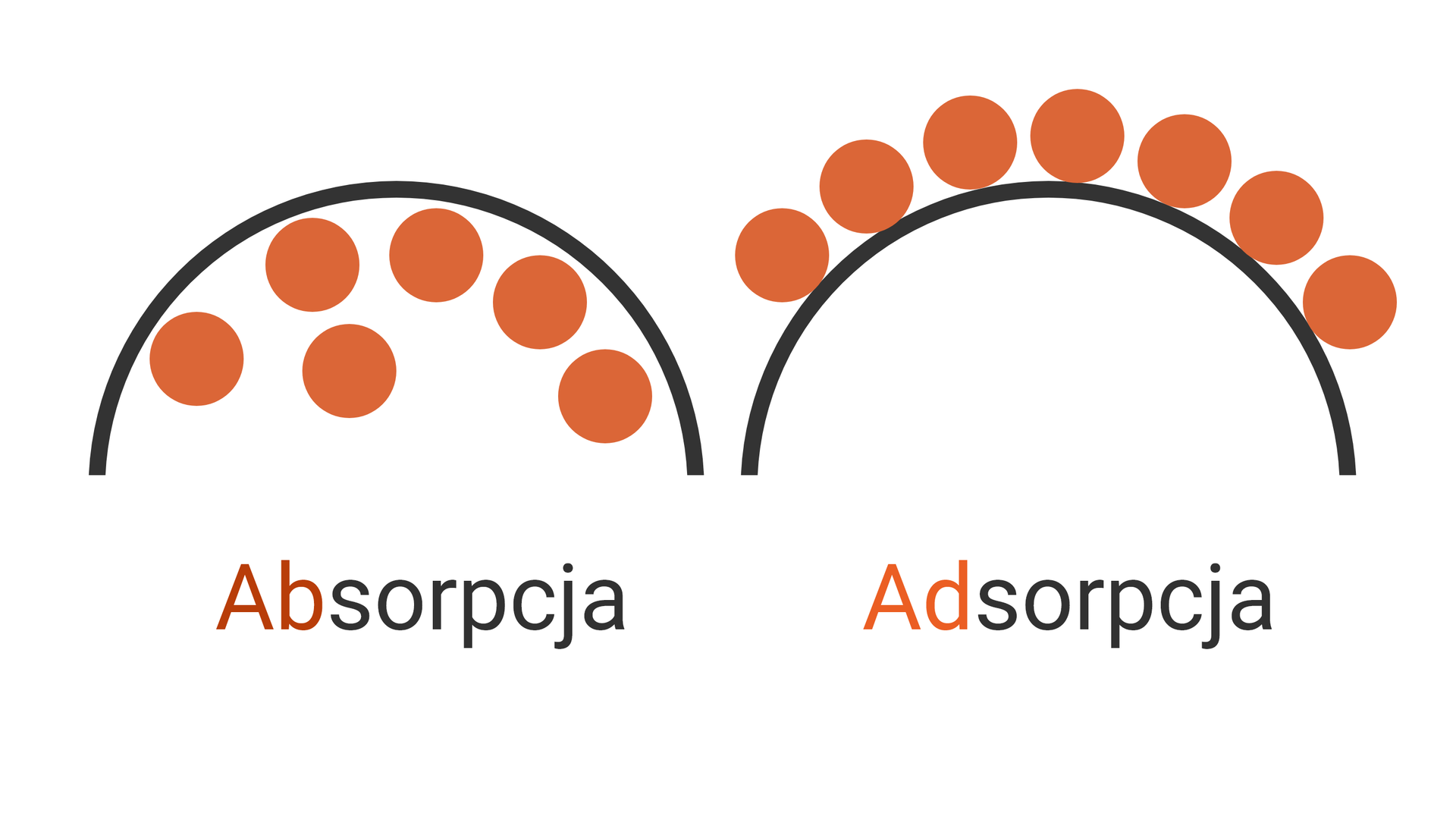 Na zdjęciu przedstawiono schematyczne porównanie procesu absorpcji i adsorpcji. Absorpcja jest to  proces wnikania jednej substancji do innej substancji tworzącej dowolną fazę ciągłą.Adsorpcją jest to zjawisko powierzchniowe.Na zdjęciu po lewej znajduje się proces absorpcji. Na ilustracji widać półokrąg symbolizujący powierzchnię. Po wewnętrznej stronie znajdują się brązowe okręgi. Poniżej widnieje napis: absorpcja.Na zdjęciu po prawej znajduje się proces adsorpcji. Na ilustracji widać półokrąg symbolizujący powierzchnię. Po zewnętrznej stronie znajdują się brązowe okręgi Poniżej widnieje napis: absorpcja.