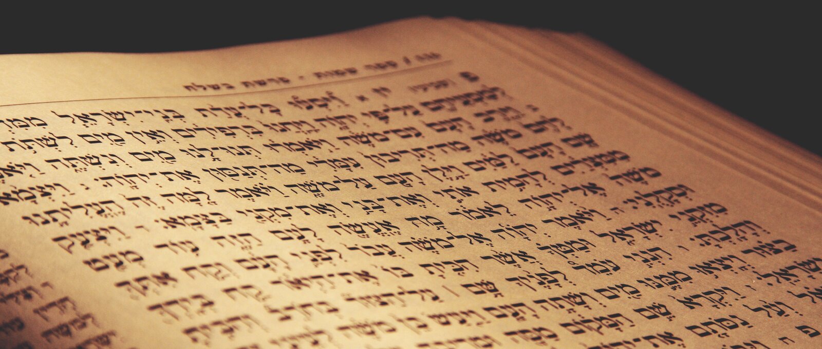 Zdjęcie przedstawia zbliżenie pożółkłej stronicy Tory. Widać rzędy zapisane czcionką w obcym języku.