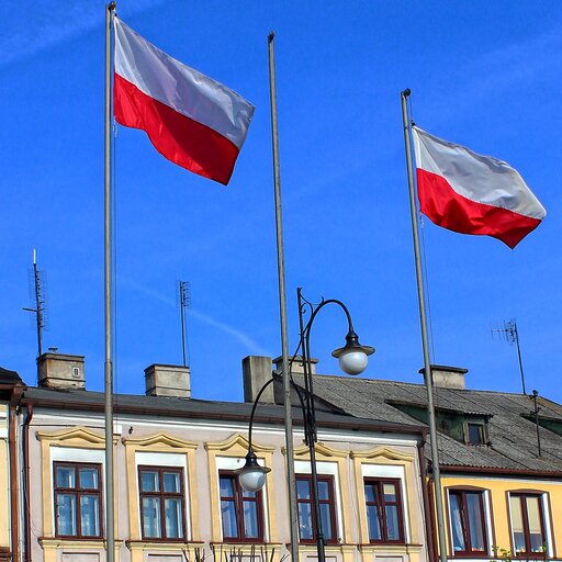 Model władz lokalnych i regionalnych w Polsce