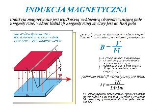 Indukcja magnetyczna