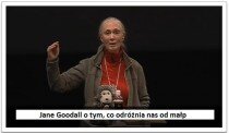 Jane Goodall o tym, co odróżnia nas od małp