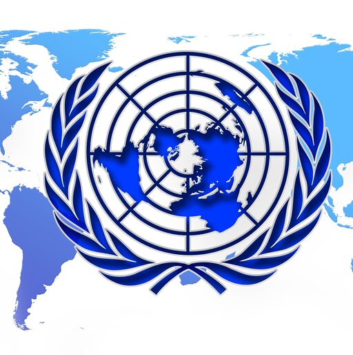 Charakterystyka działania ONZ (organy i mechanizm podejmowania decyzji)