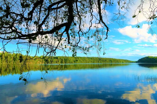 Znaczenie przyrodnicze i gospodarcze jezior w Polsce