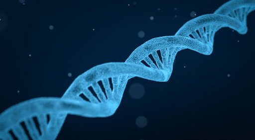 Klonowanie DNA