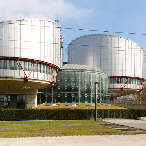 Europejski Trybunał Praw Człowieka – kompetencje, sposób działania
