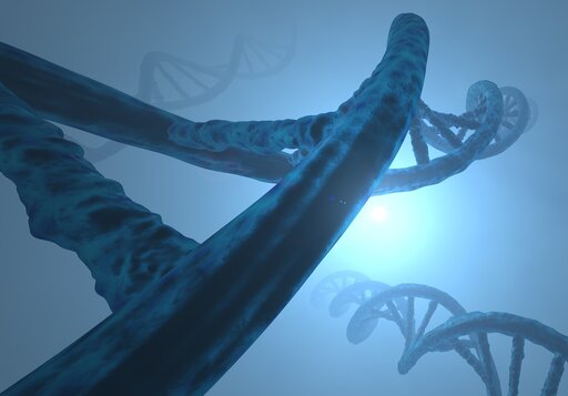 Rola drobnocząsteczkowych RNA w regulacji ekspresji genów
