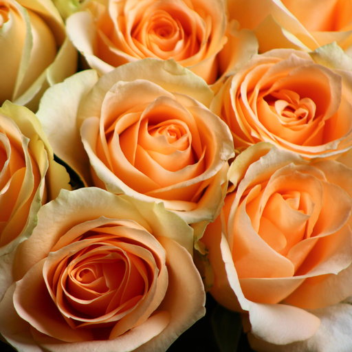 <cite>Róże dla Safony</cite>. Liryczny dialog Marii Pawlikowskiej‑Jasnorzewskiej z największą poetką starożytnej Grecji