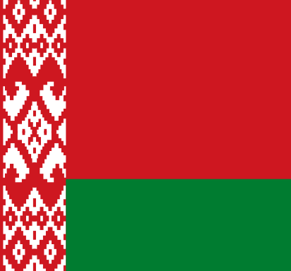 Władza wykonawcza w wybranym kraju o wadliwej demokracji – Białoruś