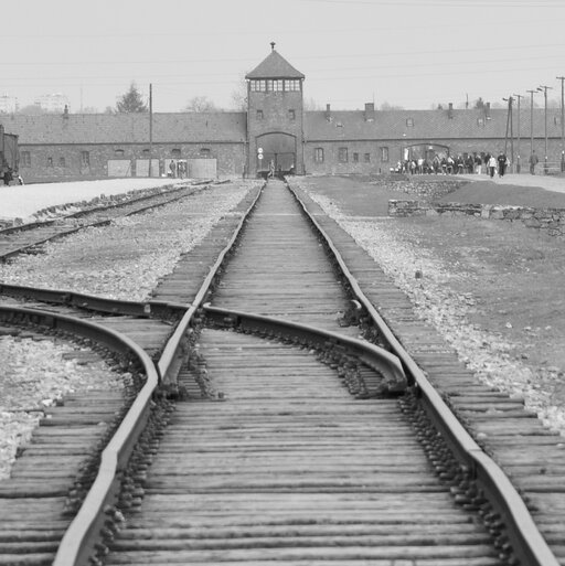 <em><cite>U nas w <span lang="de">Auschwitzu</span></cite></em> Tadeusza Borowskiego. Obraz rzeczywistości obozowej