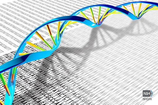 Sekwencjonowanie DNA