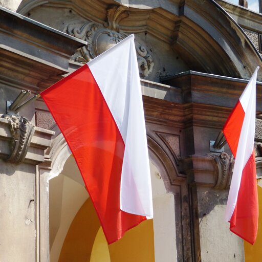 Instytucjonalizacja partii politycznych w Polsce