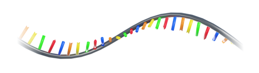 Rybozymy – RNA o właściwościach katalitycznych