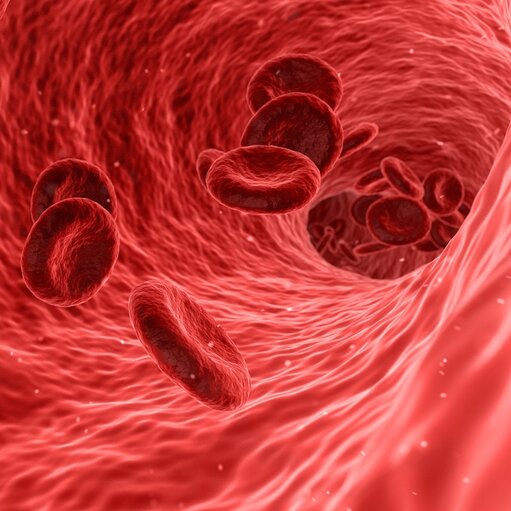 Wartość diagnostyczna badania laboratoryjnego krwi