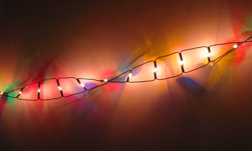 Modele replikacji DNA