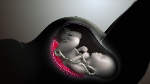Wpływ szkodliwych czynników środowiskowych na przebieg ciąży i rozwój zarodka ludzkiego